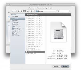 flat package editor lion flat package editor lion